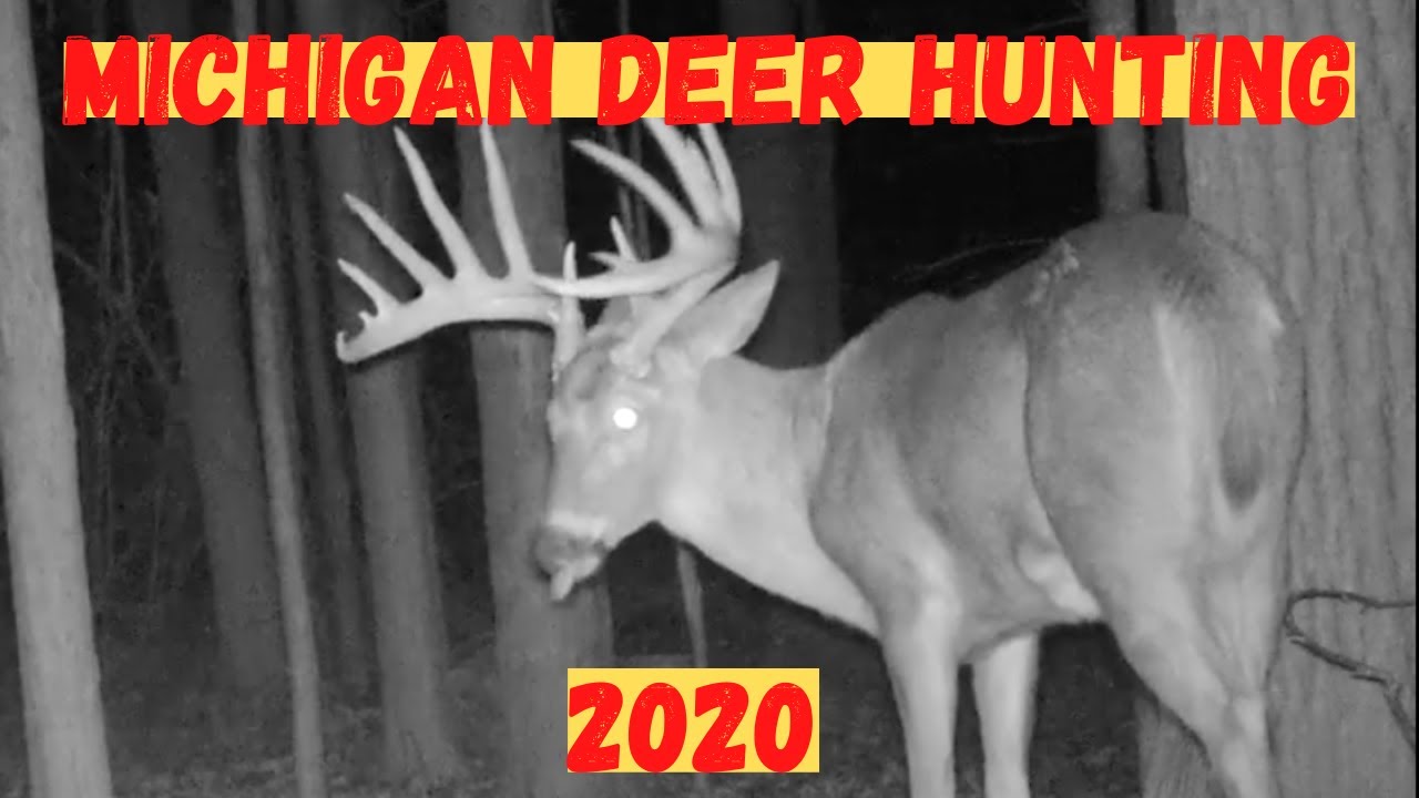 Michigan Dnr 2024 Hunting Digest - Norry Antonina