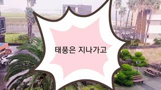 태풍 링링과 함께한 하룻밤_링링의 무서운 목소리