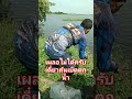 ตกปลาด้วยตะกร้อเม็ดโฟมจิ๋ว fishing ตกปลา ตกปลาบ่อเหมา ตกปลายี่สก