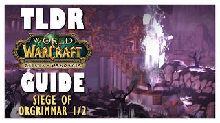 TLDR SIEGE OF ORGRIMMAR 1/2 Normal + Heroic Guide | MoP Classic