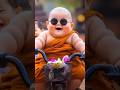 little monk so cute🌿🌵🥰 so cute monk video  cute baby monk #monk#cute  #YouTube #shorts  short video