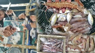 MASAGANA PARIN PAGLAOT ULIT NAMIN SUGPO PUSIT AT MGA ISDA.