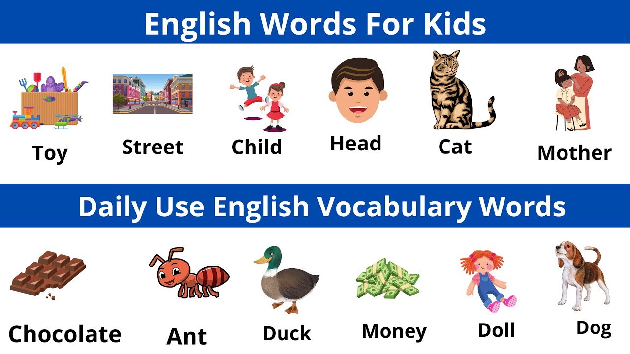 Daily Use English Vocabulary Words || English Words For Kids || English ...