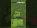 🤯Big Leaf Minecraft Bug!