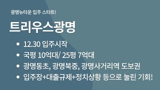 트리우스광명: 국평 10억대, 25평 7억대. 입주장을 노리자!