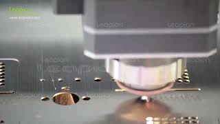 Leapion Laser Cutting Machine also for marking