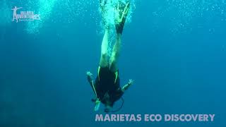 Islas Marietas Eco Discovery | Vallarta Adventures®