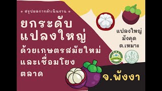 จ.พังงา ยกระดับแปลงใหญ่ด้วยเกษตรสมัยใหม่และเชื่อมโยงตลาด