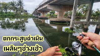 ตกกระสูบคลองดำเนินยามเช้า​🎣🥰ฟินๆเพลินๆ​ อากาศ​ดีมาก🆗🎣