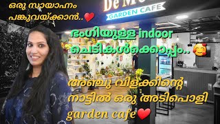 അഞ്ചു വിളക്കിന്റെ നാട്ടിൽ garden cafe concept ശ്രദ്ധേയമാകുന്നു♥️indoor plants ന്റെ മനോഹാരിതയിൽ❤️