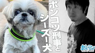 【あれほど言ったのに…】ポンコツ刑事とシーズー犬の日常