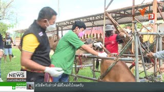 ฉีดวัคซีนป้องกันโรคลัมปีสกิน จ.ขอนแก่น