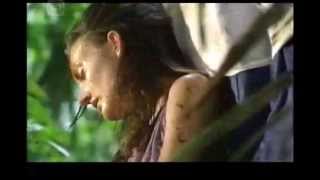 Survival in the Amazon Rainforest Survival in the Amazon Rainforest