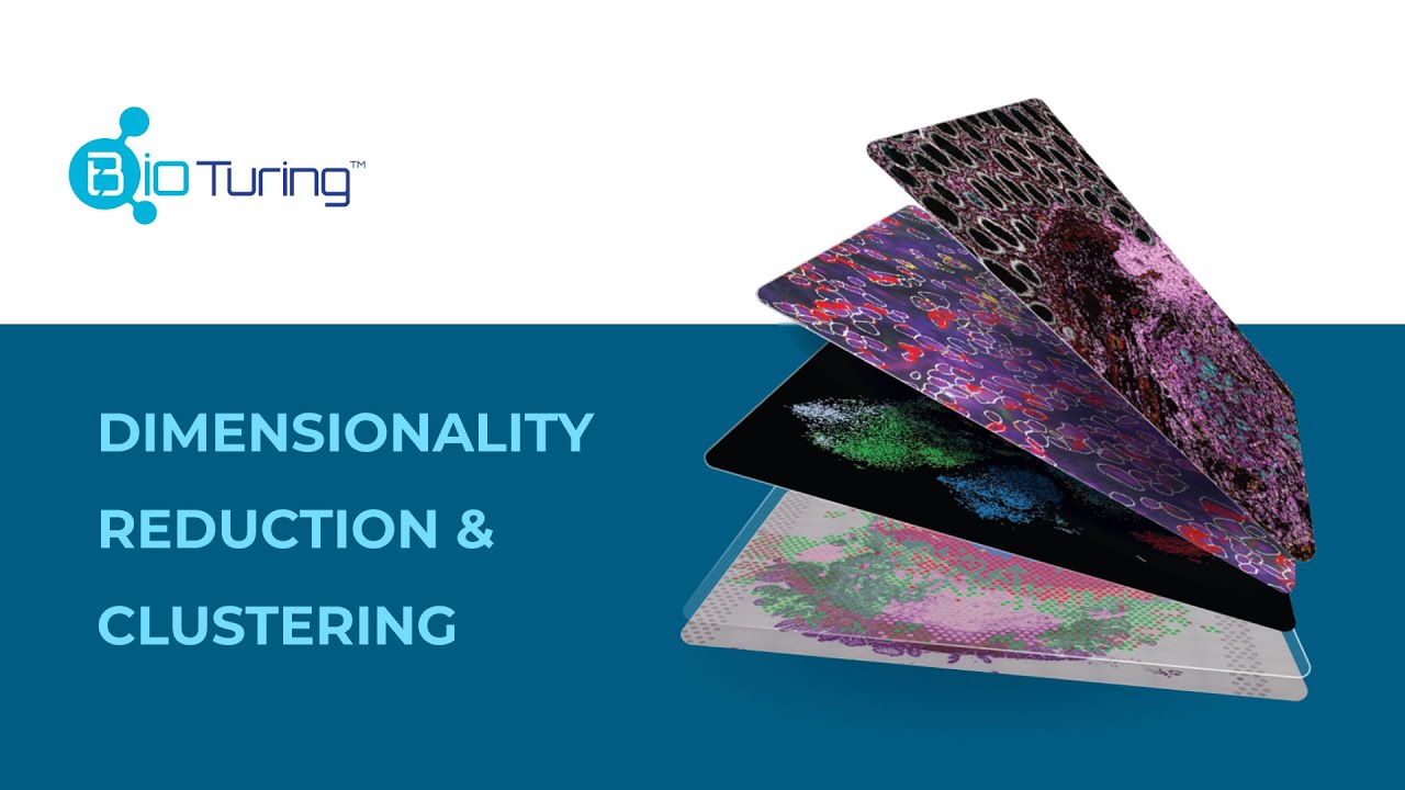 Bbrowserx Dimensionality Reduction And Clustering Youtube