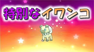 [ポケモン ウルトラサン・ムーン]特別なイワンコを受け取ってみた！