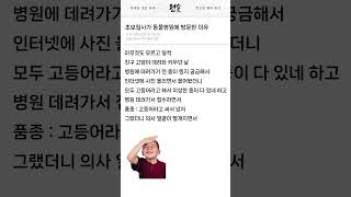 초보집사가 동물병원에 방문한 이유ㅋㅋㅋㅋ