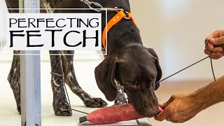 Trained Retrieve Step 9 - Fetch Part 3