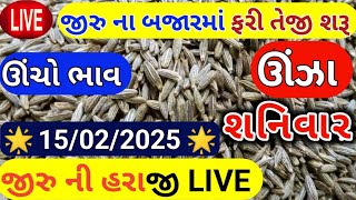 Jeera na bhav | 15-02-2025 | જીરું ના ભાવ:2025 | live cumin trading in  APMC | commodity Trend