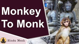 Learning To Let Go by Swami Sarvapriyananda - Journey from Being Monkey To Becoming Monk
