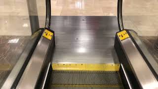 ThyssenKrupp Escalators at Dillard’s Store at Coconut Point - Estero, FL