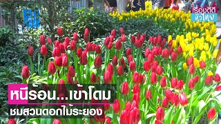 หลบร้อนเข้าโดมชมไม้เมืองหนาวฟรี  | เรื่องดีดีทั่วไทย | 1-5-66