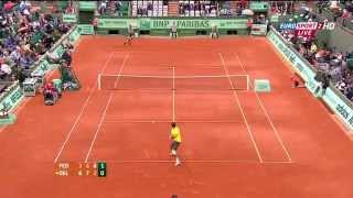 Federer vs Del Potro - Roland Garros 2012 QF Highlights