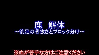 【鹿の解体01-3】 後足の骨抜き・ブロック分け