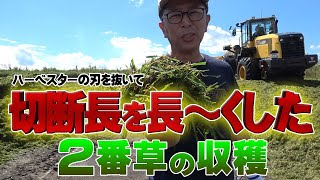 【切断長を長くした２番草の収穫２０２２】活性誘導水＋ＢＳの混合割合や添加のコツ解説【DNW259】