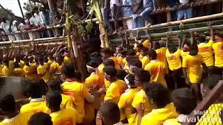 Killukkottai jallikattu nayagan