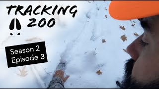 Tracking 200 S2E3: Fresh Tracking Snow