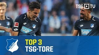 TSG Hoffenheim - 3 Top Goals