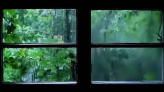 Rain and Thunder from a window view, relaxing sound White noise for sleep, Please subscribe to help