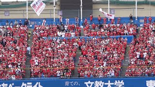 秋山翔吾のタイムリーヒットで先制！満員のレフトスタンドで大合唱！2023/04/02 東京ヤクルトスワローズvs広島東洋カープ