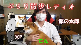 【京の柴犬てん】ぶらり散歩ラジオ📺録画版　太郎の犬モノガタリ第337話