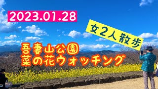 【お散歩123】【お散歩】【ハイキング】吾妻山公園菜の花ウォッチング2023