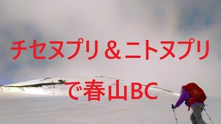 チセヌプリ＆ニトヌプリで春山BC:2022/4/23