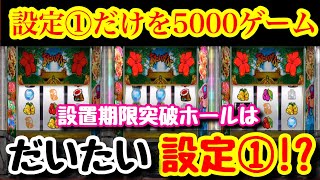 【検証】撤去期限突破ホールはぶっこ抜き!?実際どうなの!?設定①だけを高速5000ゲーム見てみよう【沖ドキ】