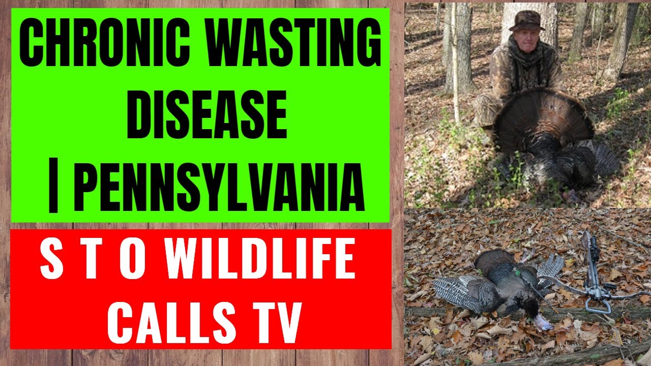 Chronic Wasting Disease | Pennsylvania - YouTube