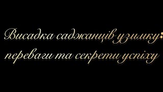 Чому взимку найкращий час для висадки саджанців?