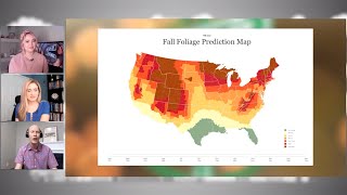 Take a Road Trip with the Fall Foliage Map