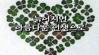 인간 답게 사는모습