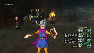 DQ10 使い魔バジリウス戦(追加クエスト 聖守護者の導き)