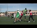 og ducks 14u battle lv 25 highlights