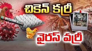 చికెన్ తింటే ఇక అంతేనా? తెలుగు రాష్ట్రాల్లో బర్డ్ ఫ్లూ టెర్రర్ || PSR NEWS