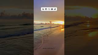 如何处理恋爱中的失望和挫折#shorts  #sunset #beach #人生 #正能量