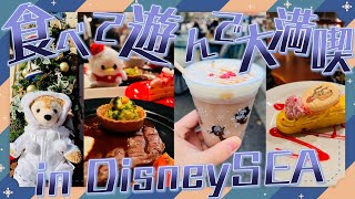 ディズニーシーでモグモグのんびりクリスマス2024【VLOG】