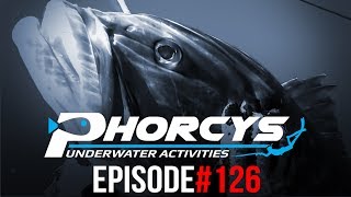 PHORCYS Spearfishing Worldwide Videos #126 - Underwater Activities 2019