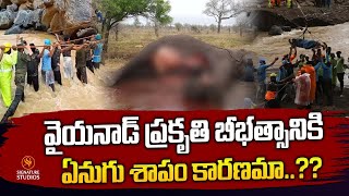 వైయనాడ్ ప్రకృతి బీభత్సానికి  ఏనుగు శాపం కారణమా..??Kerala's Wayanad Landslide |@Signature Studios