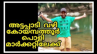 അട്ടപ്പാടി വഴി കോയമ്പത്തൂർ പൊളി മാർക്കറ്റിലേക്ക്..