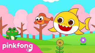 Hello, Spring is Here 🌸 | Spring Season | Weather for Kids | Spring Songs | Pinkfong Baby Shark